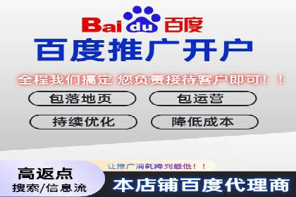 某电商平台的sem竞价推广托管经验